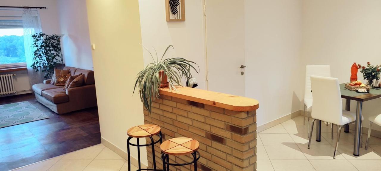 Danube Riverside Apartment With Quite Workplace Bratislava Exterior photo